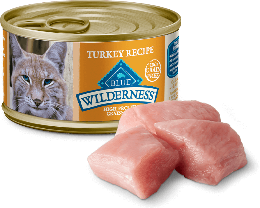 BLUE Buffalo Cat Food Reviews